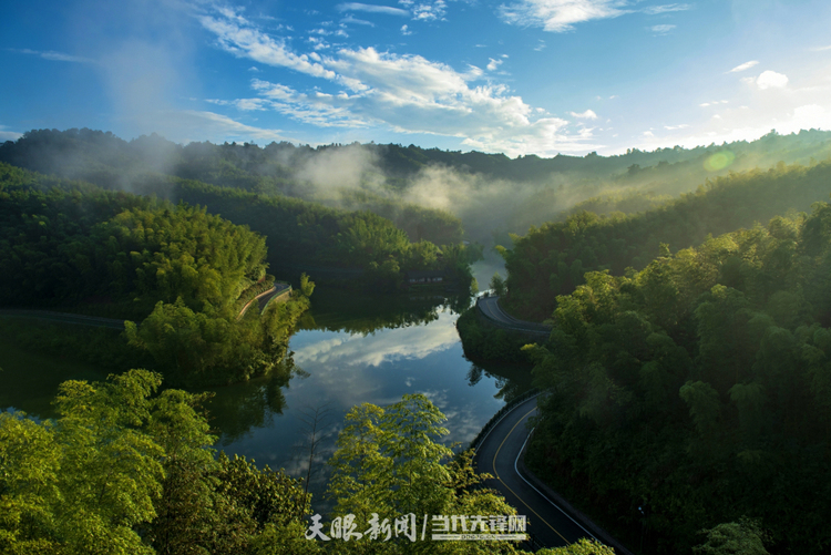 十一载“春天之约” ！贵州“生态绿”绽放“金银花”