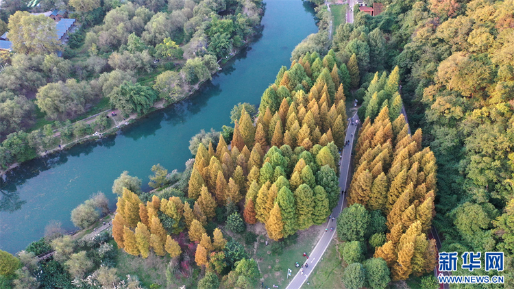 贵阳花溪：城市湿地秋意浓