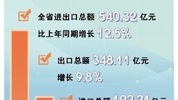 贵州：进出口总额比上年同期增长12.5% 外贸质升量稳看点多