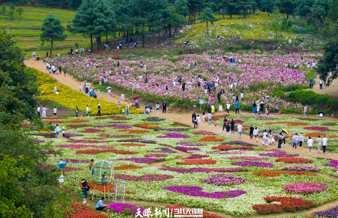 从“夏季首选”迈向“四季皆宜”｜凉都借“凉”机 文旅消费“热力”足