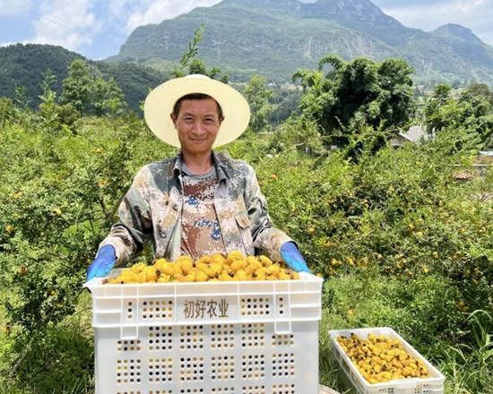 六盘水市水城区：农业农村工作成果丰硕 绘就乡村振兴新画卷