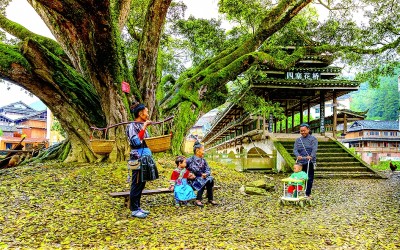 贵州从江： 稻香织梦 鱼鸭共歌