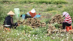 贵州安顺黄果树旅游区：党建引领拓宽就业路