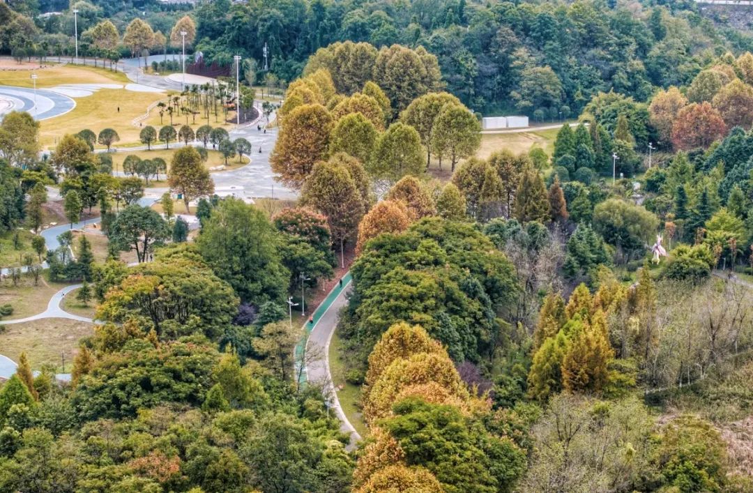 贵州山色丨赏层林尽染，看红叶山川，用脚步探索深秋之美