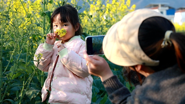 贵州平塘六硐坝区：油菜花开春韵浓 田园农居匿花海_fororder_游客花海间拍照打卡