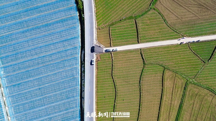 走出大山是旷野 看贵州蔬菜勇闯粤港澳的“鲜达”之路