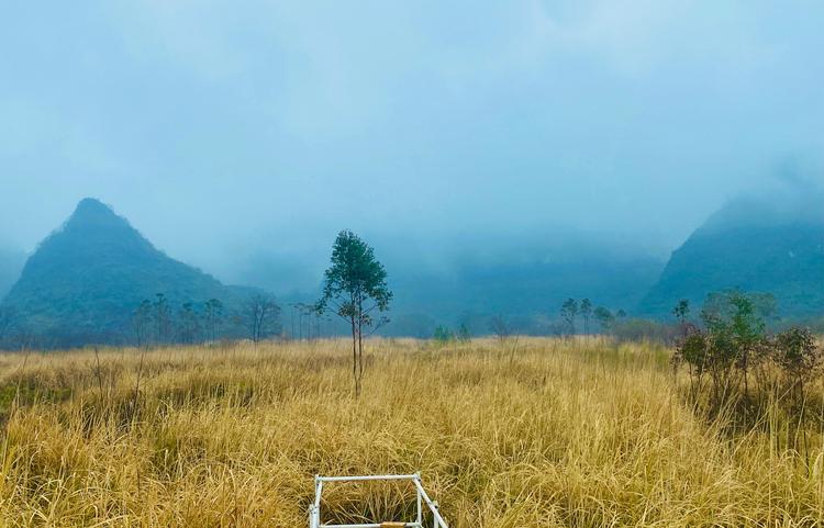 桂林市七星区：烟雨山色景色秀 乡村美景引客来_fororder_3