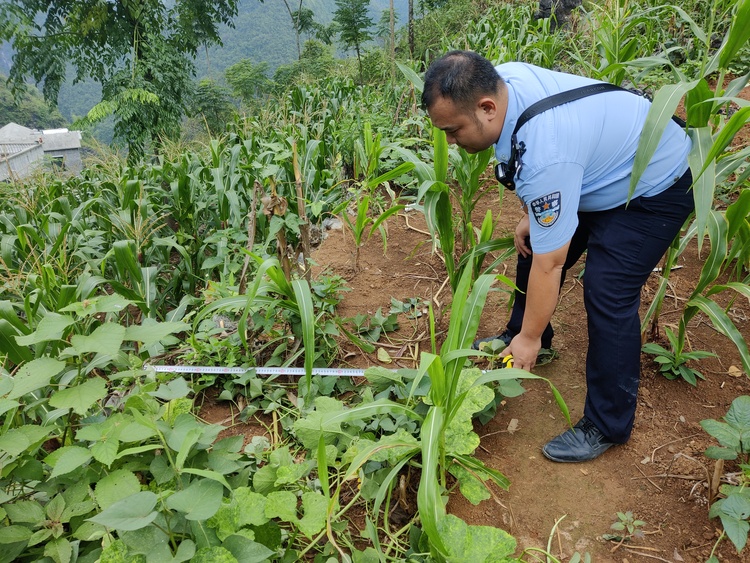 澄江清水化着泪——追记都安瑶族自治县公安局民警李燮