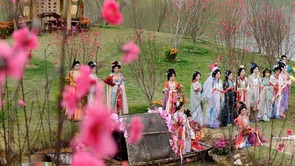 花绽南宁 映见三重美