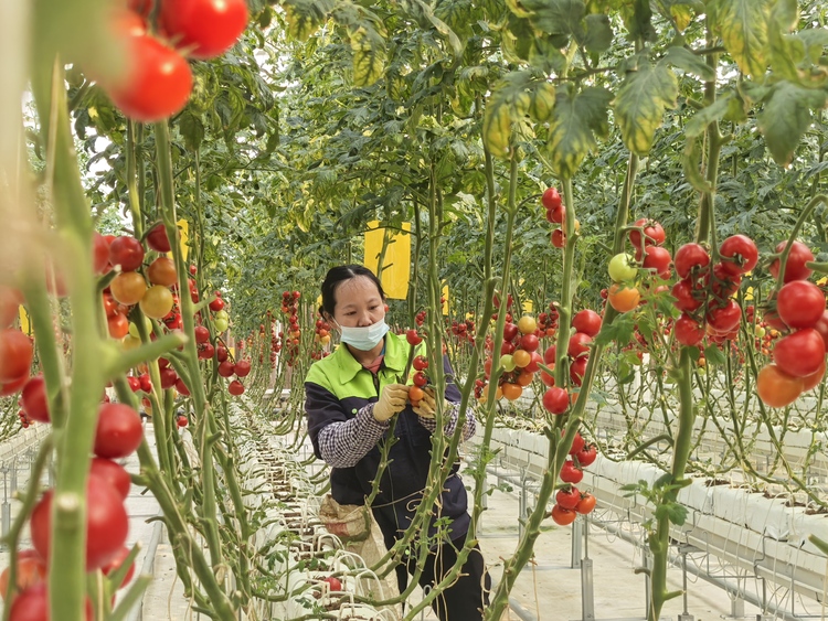 2025年中国广西与越南边境四省农业农村厅长联席会议举行