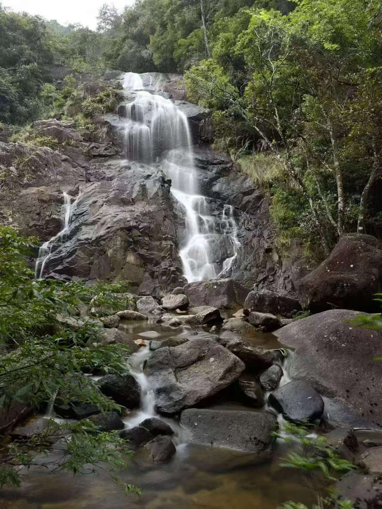 打造大湾区康养度假目的地 铸就生态康养新标杆