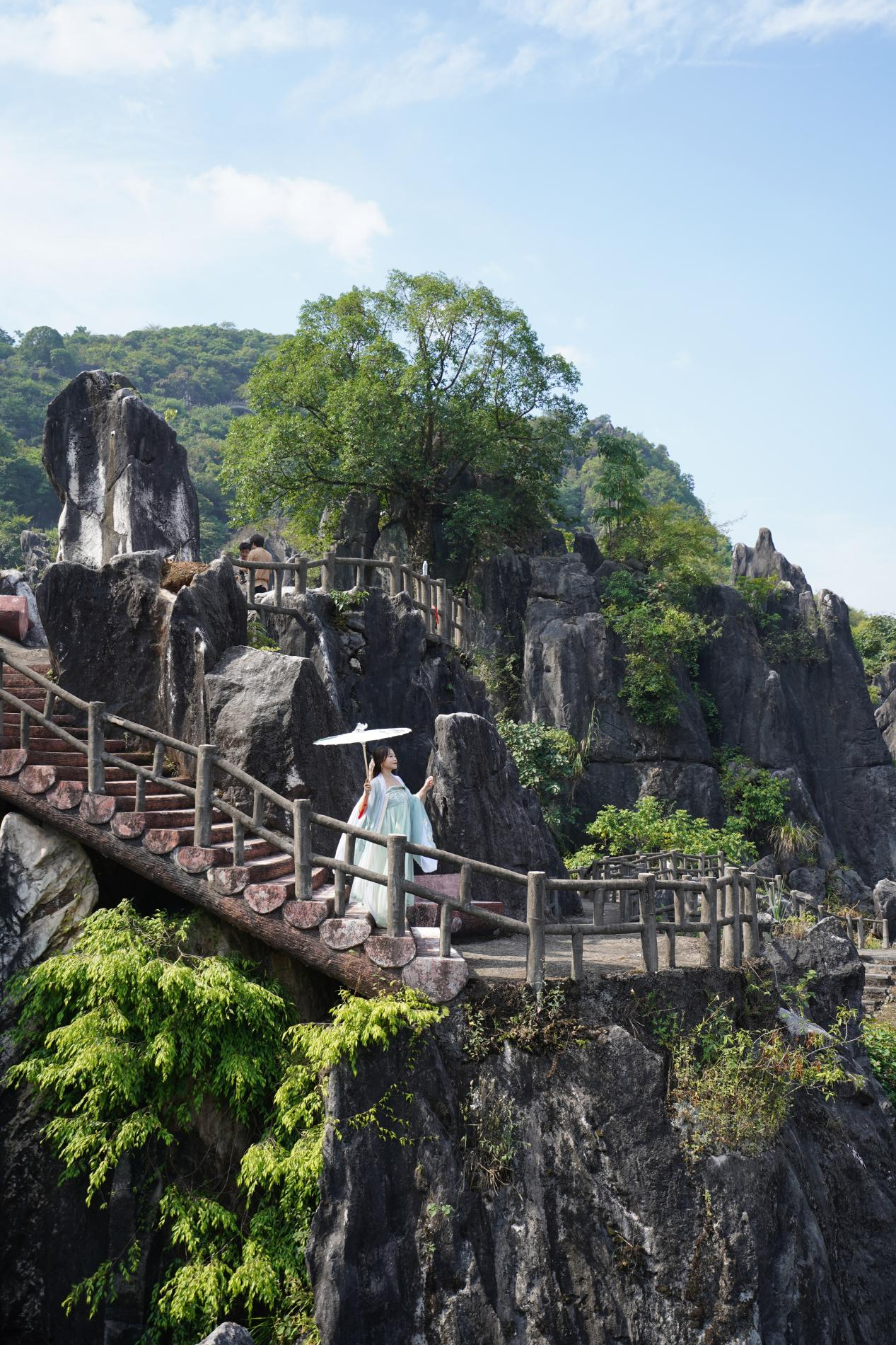 打造大湾区康养度假目的地 铸就生态康养新标杆