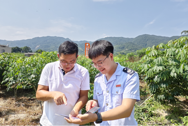 广西兴业县全面落实落细便农利企税费政策 护航食用木薯产业发展壮大