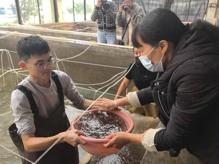 广西北海：向海而兴筑牢“蓝色粮仓”