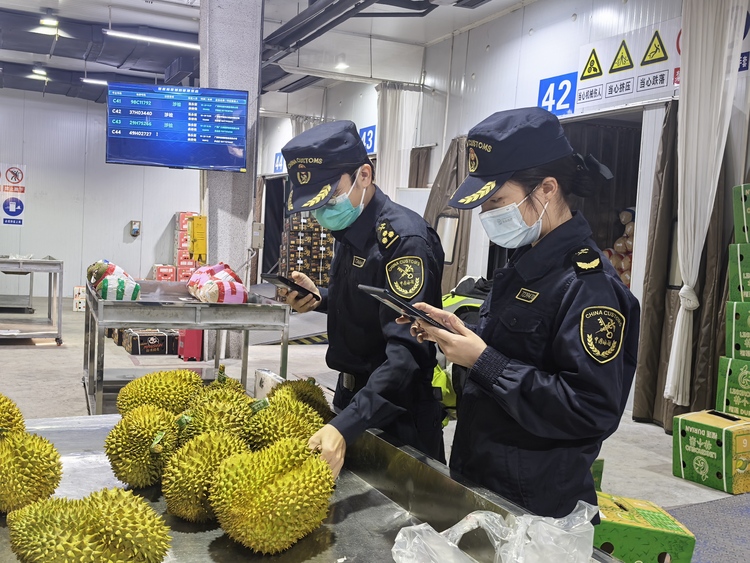 广西凭祥：高效通关助力口岸经济跑出“加速度”