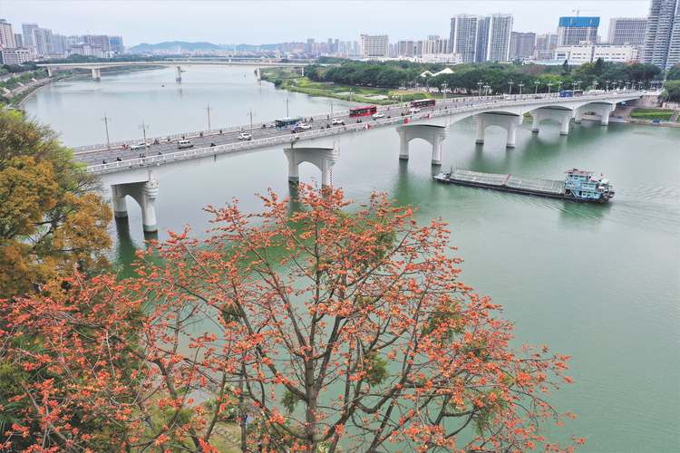 “南宁建造”持续跨越 一桥一景创“世界之最”