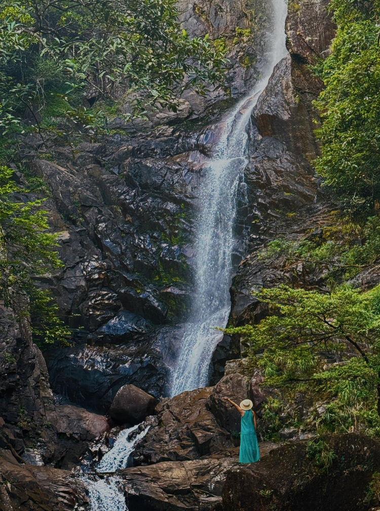 打造大湾区康养度假目的地 铸就生态康养新标杆