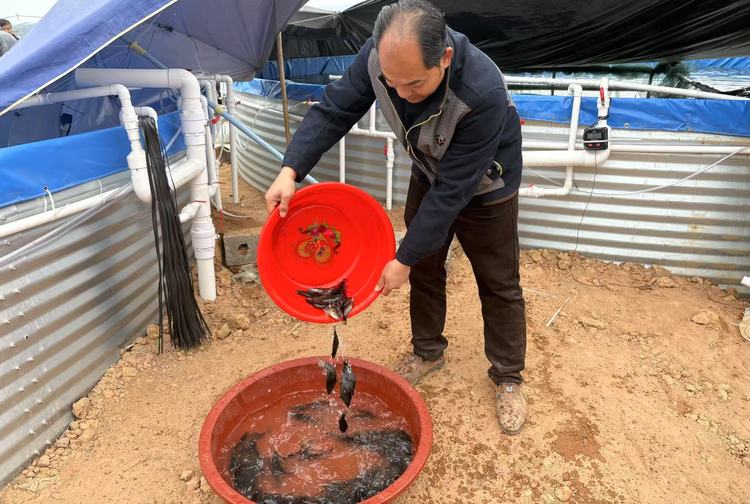 贵港平南：规范设施农业用地管理 助力乡村全面振兴_fororder_微信图片_20250227105718