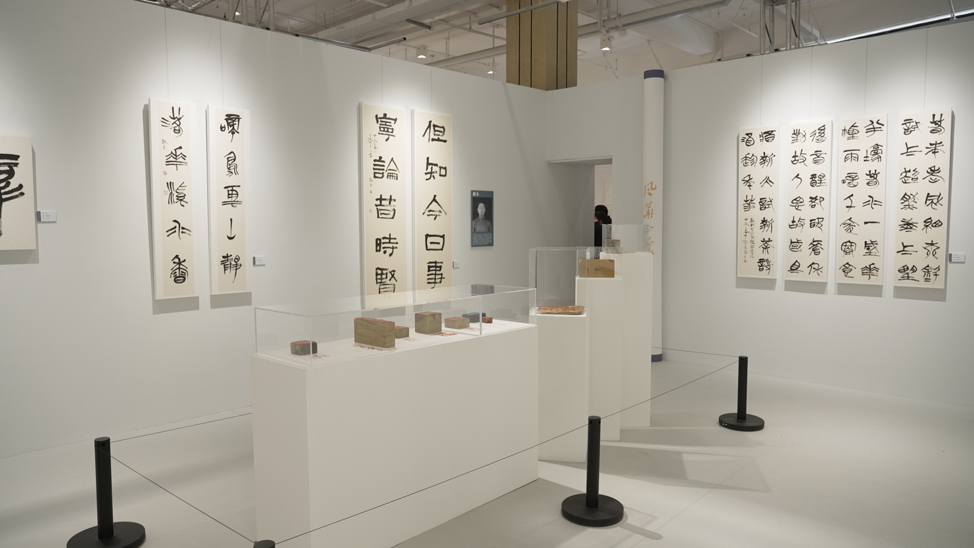 第二届“风华正茂·全国中青年书法名家十一人作品展”在沪启幕