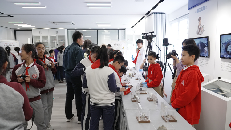 五彩矿石入药 中药文化展在上海交通大学附属黄浦实验中学开幕