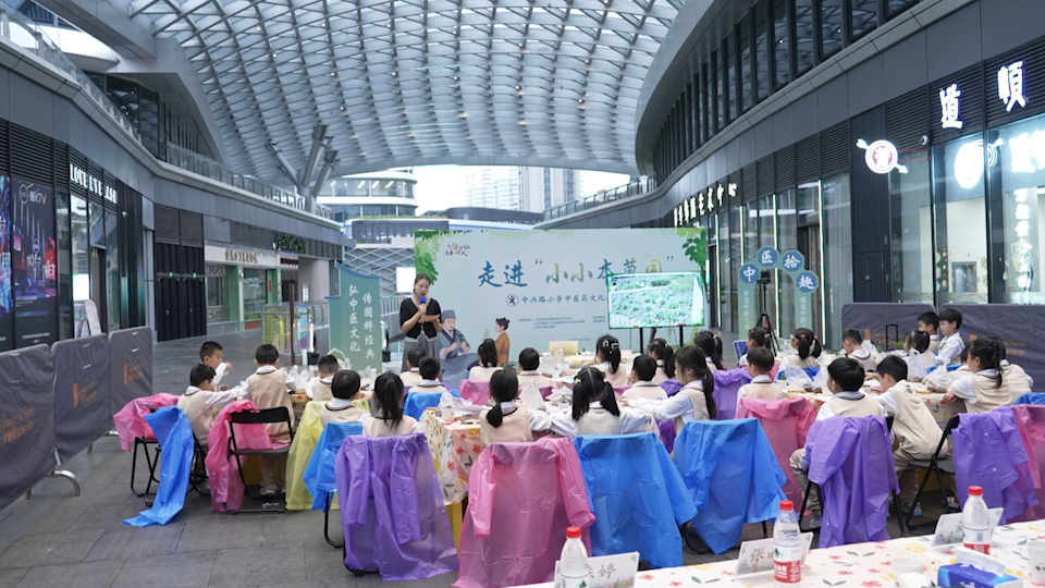 上海推动中医药文化进校园：“小小本草园”带孩子们探究博大精深的中医药世界