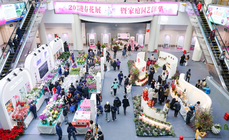 “花开上海”迎新年 奇花异草、创意花礼诠释生活中的诗意