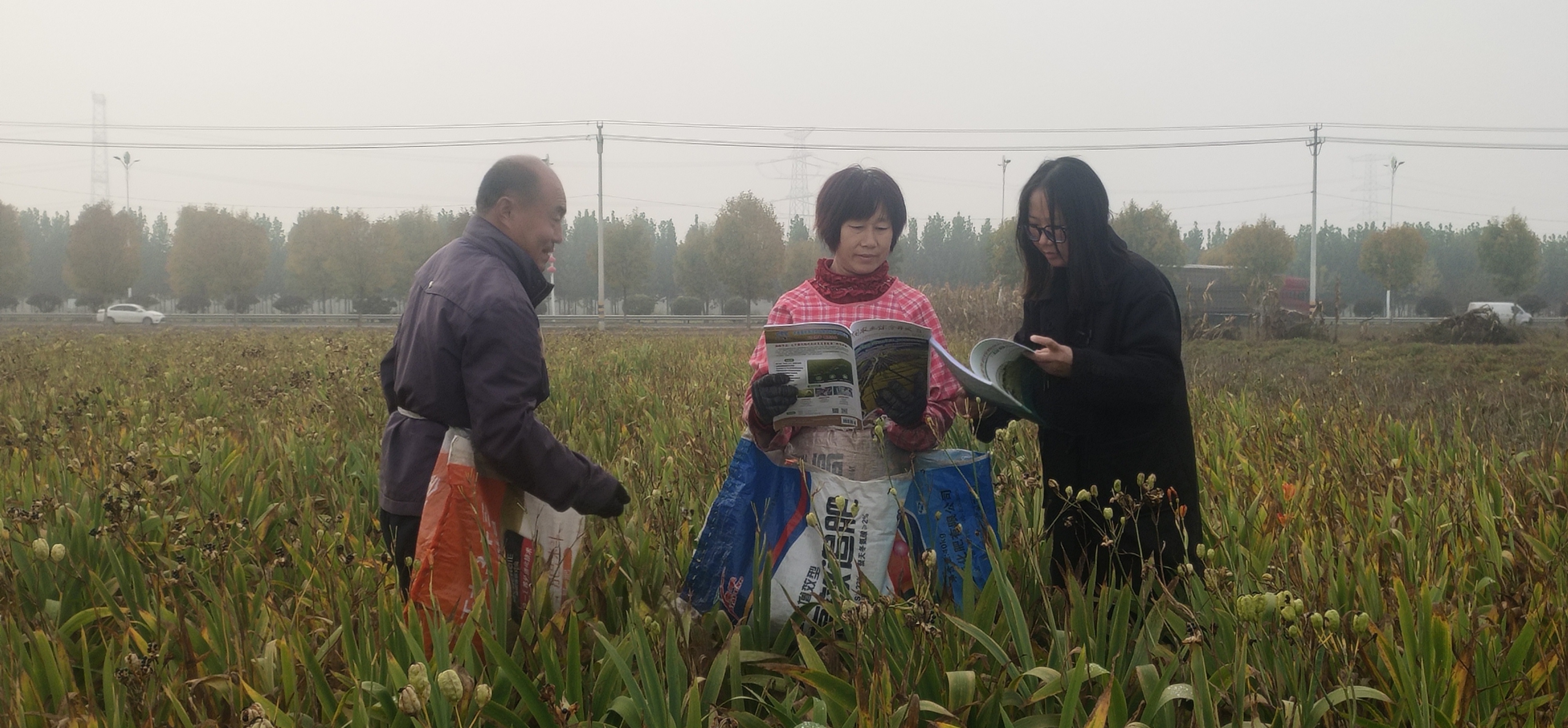 河北博野：“人才矩阵”赋能农业高质量发展