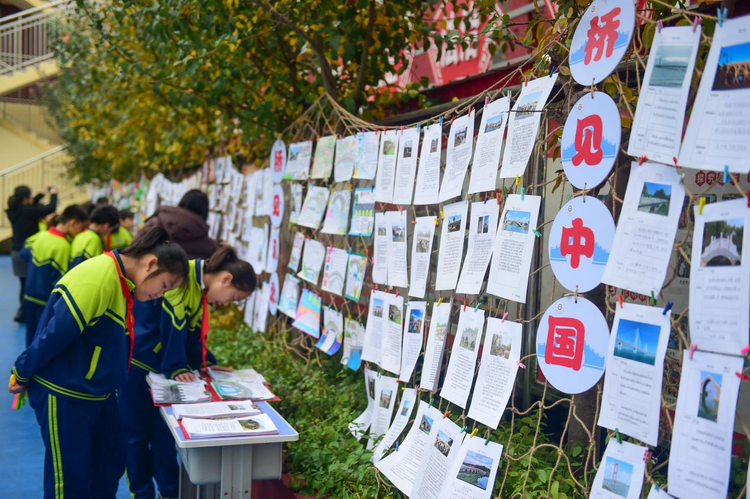 河北沧州：趣味数学节 打开知识“桥”