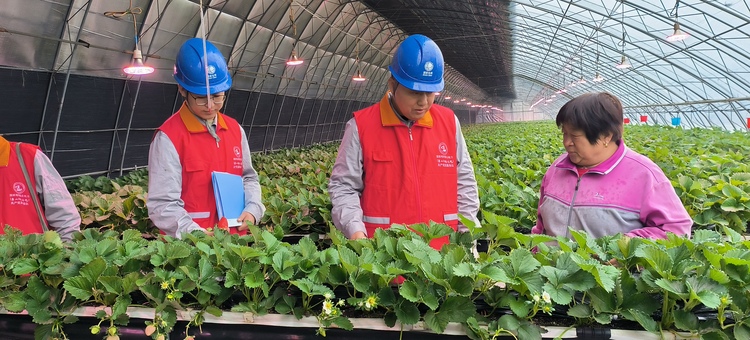 河北迁安：寒潮保电 护航农业生产