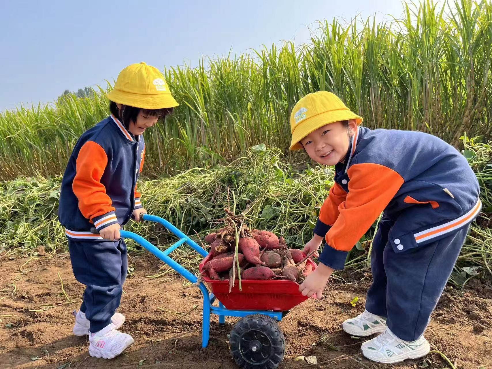 河北唐县：走进田间地头 体验甜蜜金秋