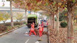 河北涞水：落叶季节“颜值”不掉线 环卫工人扮靓城市容颜