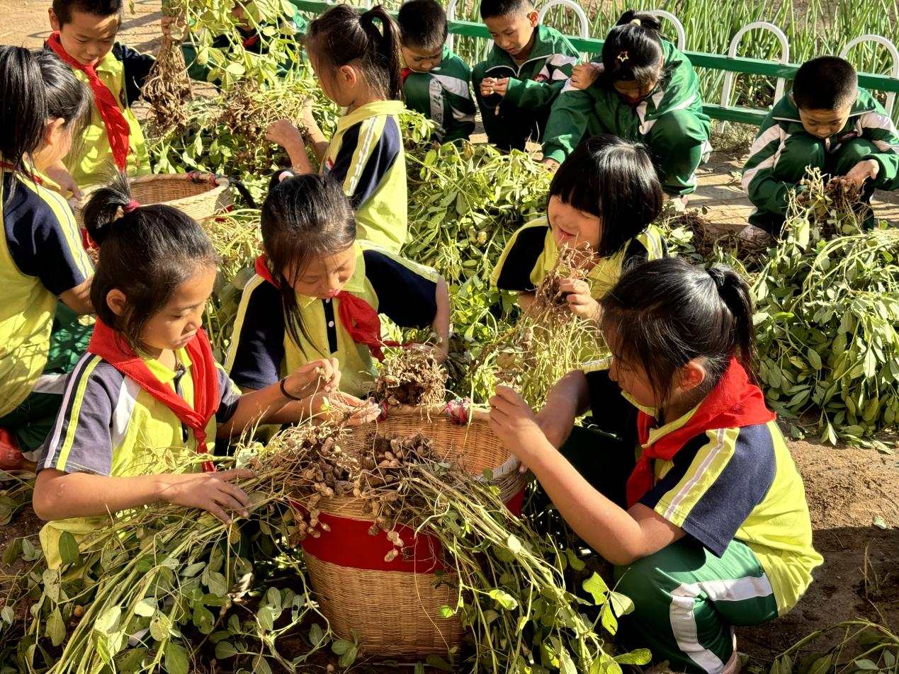 河北泊头：弘扬传统美德 坚持爱粮节粮