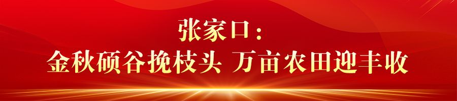 河北：“丰”光无限好 农业强“芯”促增产