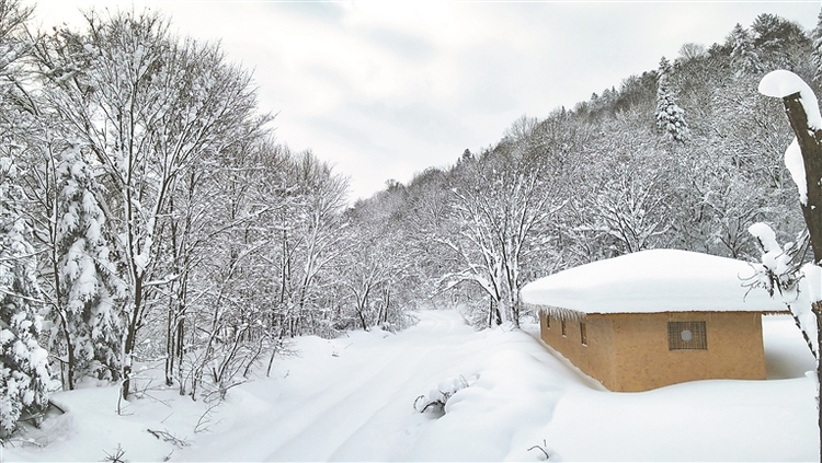 威虎山九寨景区：走进原始森林 置身冰雪童话