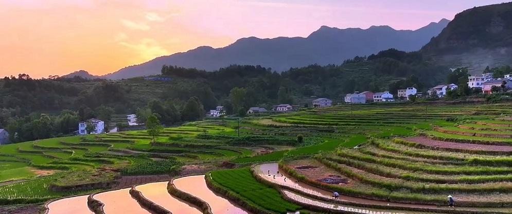 凤堰梯田：​汩汩清流润田野 治水智慧传千年