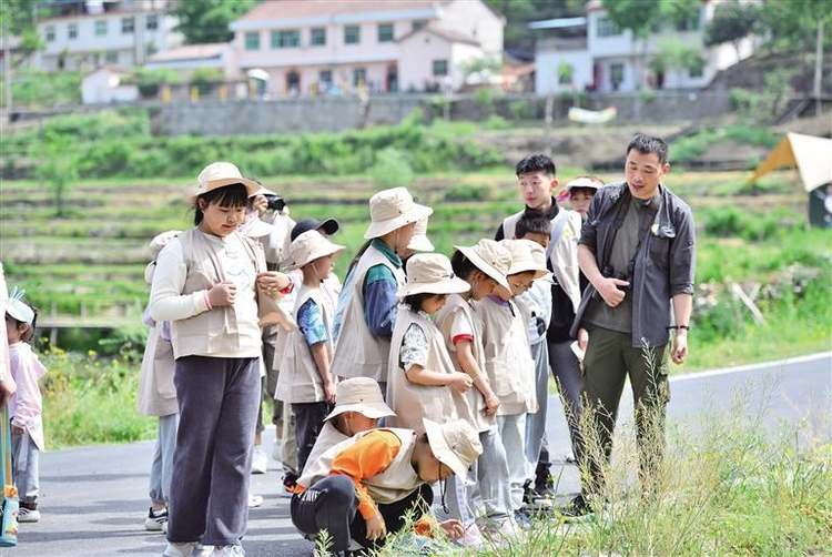 陕西安康：兴特色产业 强县域经济