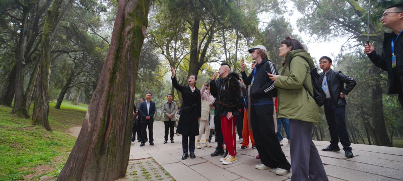 十国外籍专家探秘黄帝陵：五千年古柏见证中华文明传承历史