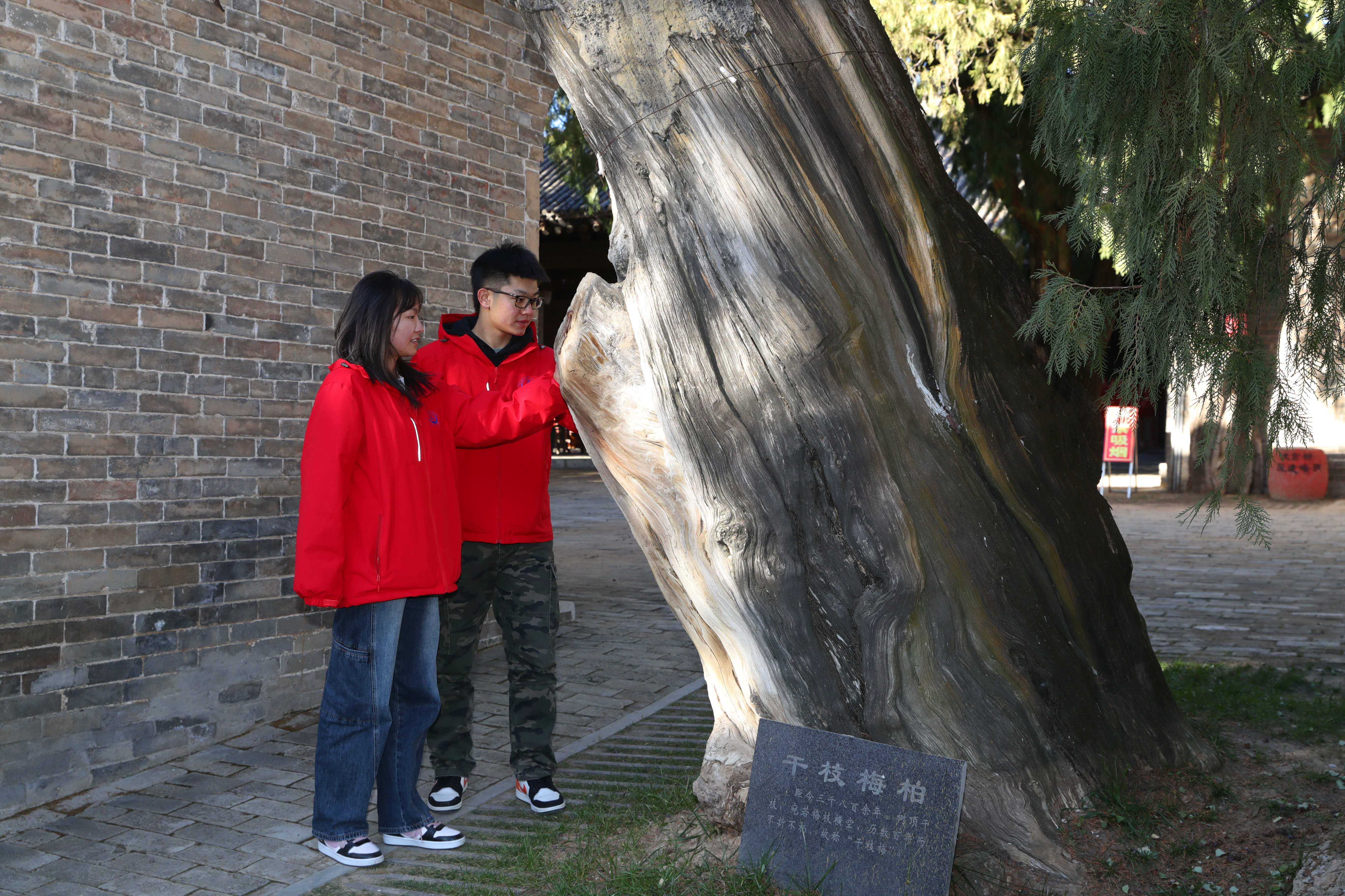 【机遇中国 共享“渭”来】探访“四圣故里” 国际观察员在陕西白水解锁汉字的起源