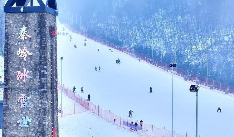 翠华山迎来今冬第三场雪