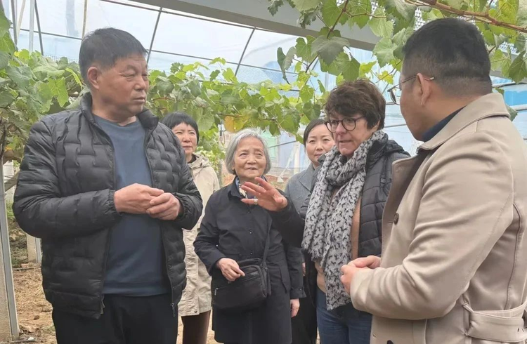 跨越万里来相逢 法国妇女组织代表团来访渭南