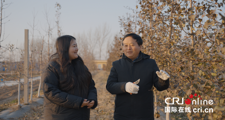 【外眼看陕西•我在中国学农技②】吉尔吉斯斯坦农学生：渭南的种植业很发达 我收获颇多