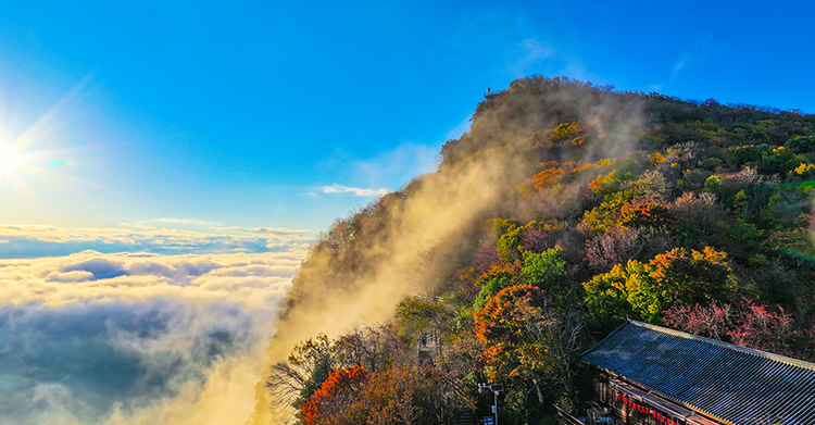 汉中龙头山：千枝万叶披霞锦 秋色斑斓碧云边