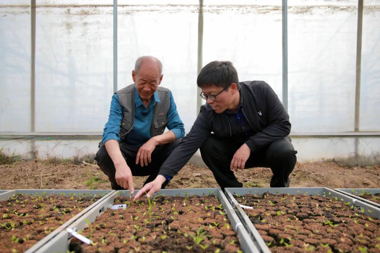 陕西渭南： 让群众愿景变成幸福实景