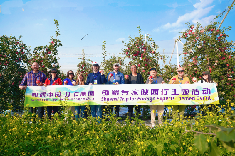 【外籍专家陕西行】乡土中国：黄河岸边与沟梁塬峁间的振兴之路