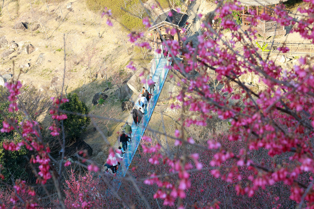 福建漳州：春满畲寨