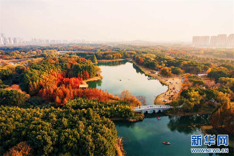 江苏苏州：来虎丘湿地看“水上焰火”