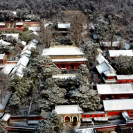 首个非遗春节巧遇立春，这些京味非遗带你开启春日序章