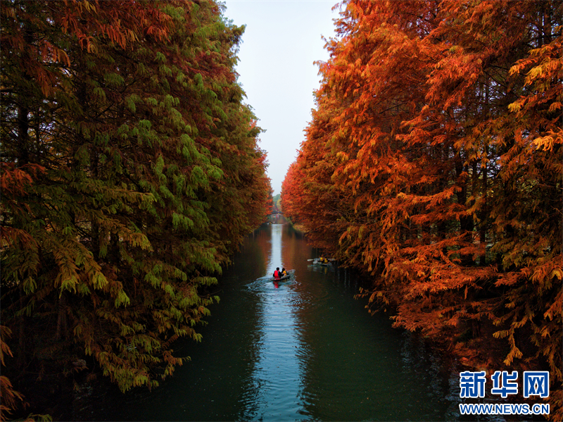 江苏苏州：来虎丘湿地看“水上焰火”