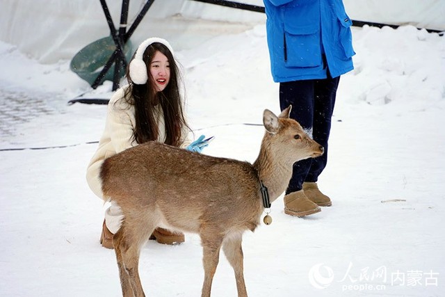 内蒙古呼伦贝尔：穿越大雪原 天天那达慕