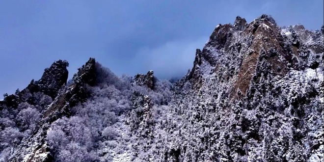 青海乐都：森林公园雪景美如画